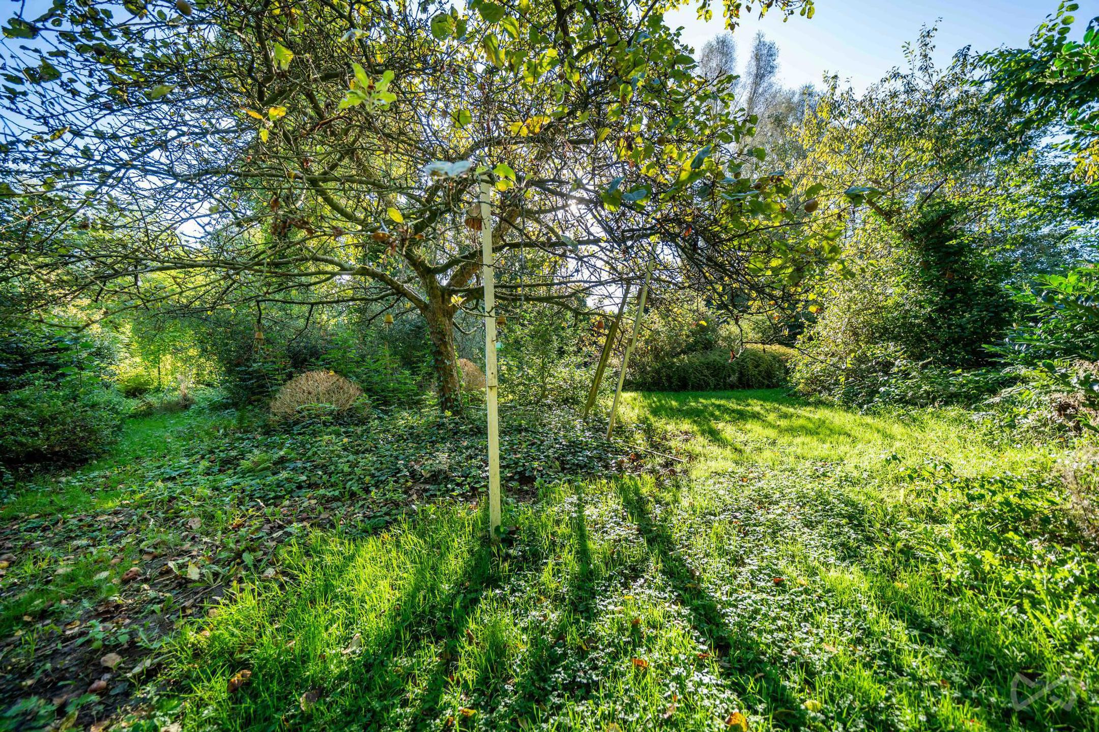 Land for sale in Saive - photo 4