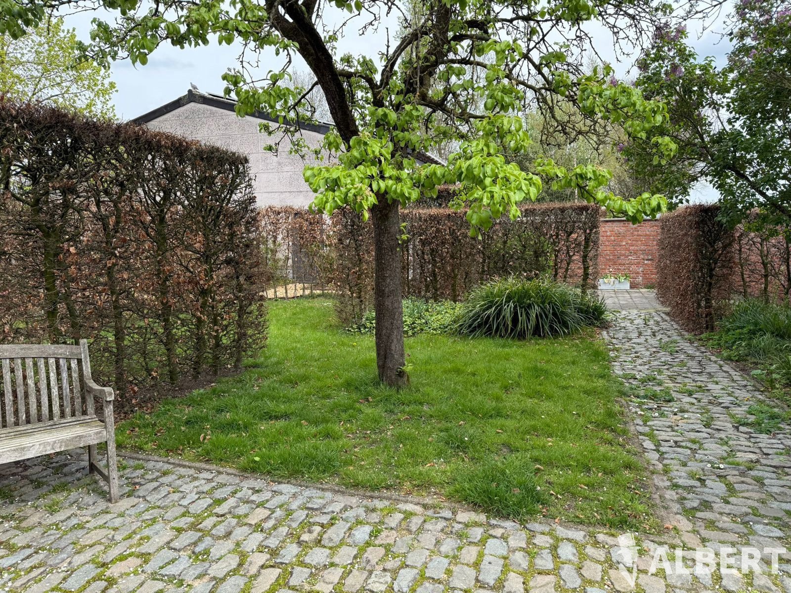 Gerenoveerde boerderij vrij vanaf 1/8/2026 - foto 4