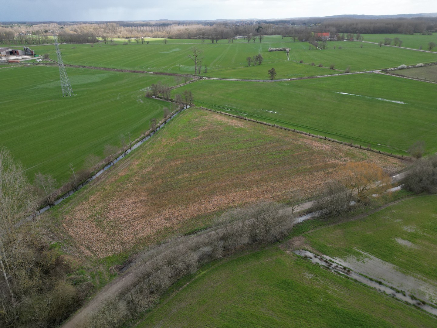 Grond te koop in Tildonk - foto 5