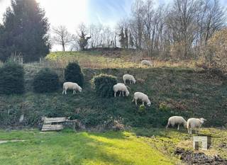 <p><span>Charmante woning met een landelijk karakter in Diest (Kaggevinne)</span></p><p><span>Op zoek naar een woning die rust en ruimte biedt, maar toch dichtbij het stadscentrum ligt? Deze unieke eigendom in Diest (Kaggevinne) ligt op een royaal perceel van maar liefst 4890m² en biedt de perfecte balans tussen landelijke sereniteit en bereikbaarheid.  </span></p><p><span>De halfopen bebouwing beschikt over een ruime slaapkamer en een badkamer met zowel een ligbad als een douche. De functionele keuken is voorzien van alle nodige toestellen, en de wasruimte biedt voldoende plaats voor extra apparatuur.</span></p><p><span>De zolder biedt voldoende plaats voor het creëren van minstens 2 extra slaapkamers.</span></p><p><span>Het bijgebouw met een grote garage biedt talloze mogelijkheden: van garage van je auto, caravan of mobilhome tot het inrichten van een ruime werkplaats of opslagruimte. </span></p><p><span>De omliggende tuin is een ware oase van rust, ideaal voor wie houdt van privacy of groene vingers heeft. Dit perceel biedt volop mogelijkheden om je eigen paradijs in de natuur te creëren. <br />Droomt u van eigen schapen of geitjes? De helling achter de woning is een weide en is zeer geschikt voor grazers. Dankzij de helling geniet u zowel vanuit de woning als vanuit de tuin van heel veel privacy en heeft u direct contact met (zicht op) uw grazers.</span></p><p><span>Gelegen op een rustige verbindingsweg tussen Zichem en Diest, bevindt deze woning zich op een strategische locatie: rustig, maar toch vlakbij het bruisende stadscentrum van Diest. Deze woning is de ideale kans voor wie op zoek is naar comfort, ruimte en een prachtige omgeving. Laat deze unieke kans niet aan je voorbijgaan en ontdek het potentieel van deze charmante eigendom!</span></p><p><span>Deze woning heeft EPC F. Bijgevolg is de renovatieplicht van toepassing.<br />De vermelde oppervlakte is momenteel de kadastrale oppervlakte.<br />Deze eigendom wordt verkocht onder de voorwaarde van het bekomen van een opmetingsplan met grensbepaling van de landmeter, in opdracht van de verkoper.<br /><br />Meer info en een bezoek? <br />Contacteer Immo Diest: 013 31 25 22.<br />Wij laten je de woning graag asap bezichtigen.</span></p><p><span>Kan je niet wachten? Bekijk dan zeker nu al de virtuele tour van deze prachtige eigendom op de website <span>www.immodiest.be</span></span><span> </span></p><p><span>Disclaimer:<br />De gebruikte AI-renders op deze website zijn gecreëerd met behulp van artificiële intelligentie en dienen uitsluitend ter illustratie van de mogelijke inrichting of uitstraling van een pand. Deze beelden zijn niet bindend en geven geen garantie over de huidige of toekomstige toestand van het vastgoed. Afmetingen, materialen, kleuren en inrichting op de AI-renders kunnen afwijken van de werkelijkheid. Geïnteresseerden worden aangeraden steeds het pand persoonlijk te bezichtigen en geen rechten te ontlenen aan de getoonde visualisaties. Voor vragen of verduidelijkingen kan u steeds contact opnemen met Immo Diest. </span></p><p><span> </span></p>