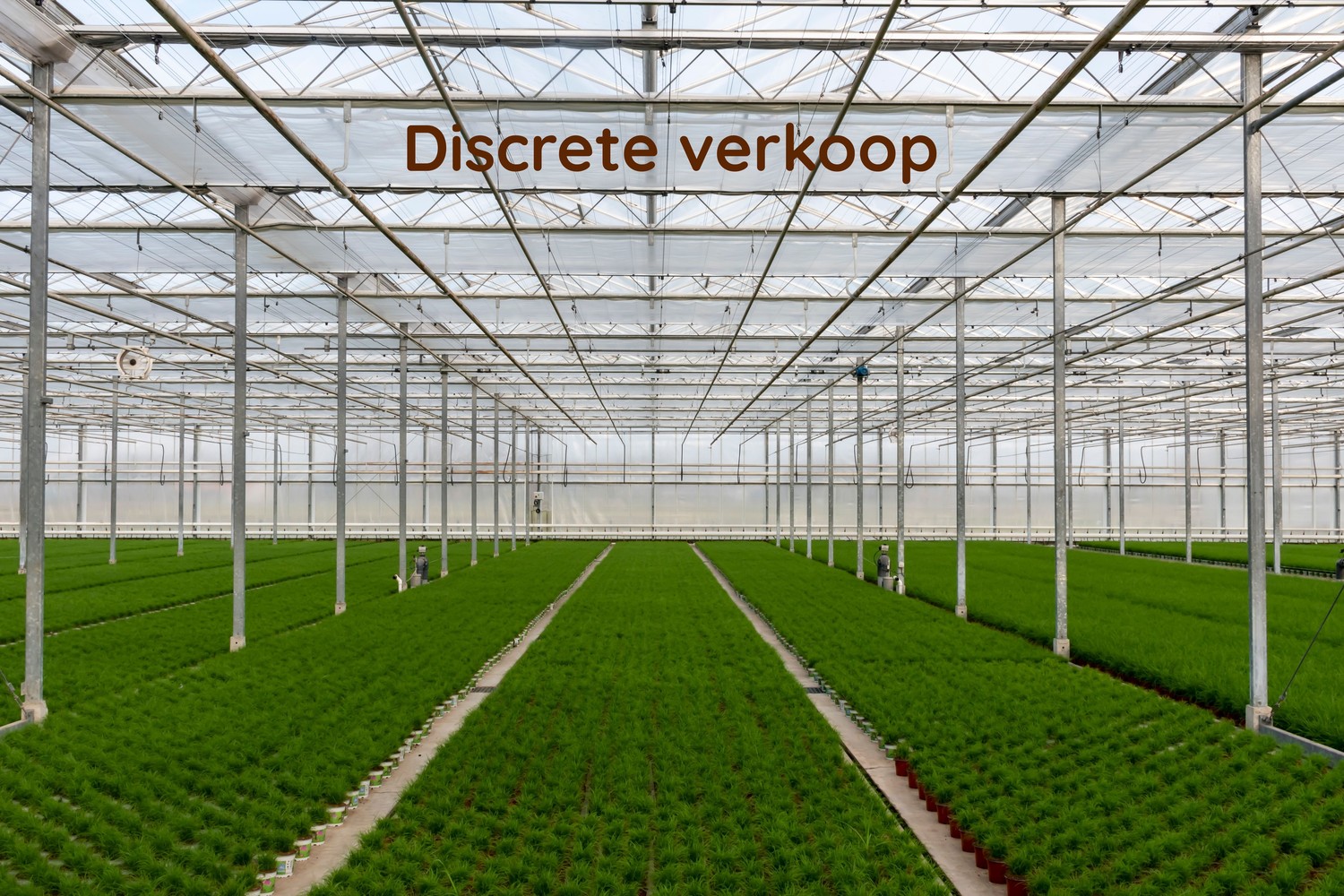 Groot serrebedrijf te koop omgeving Lochristi - foto 1