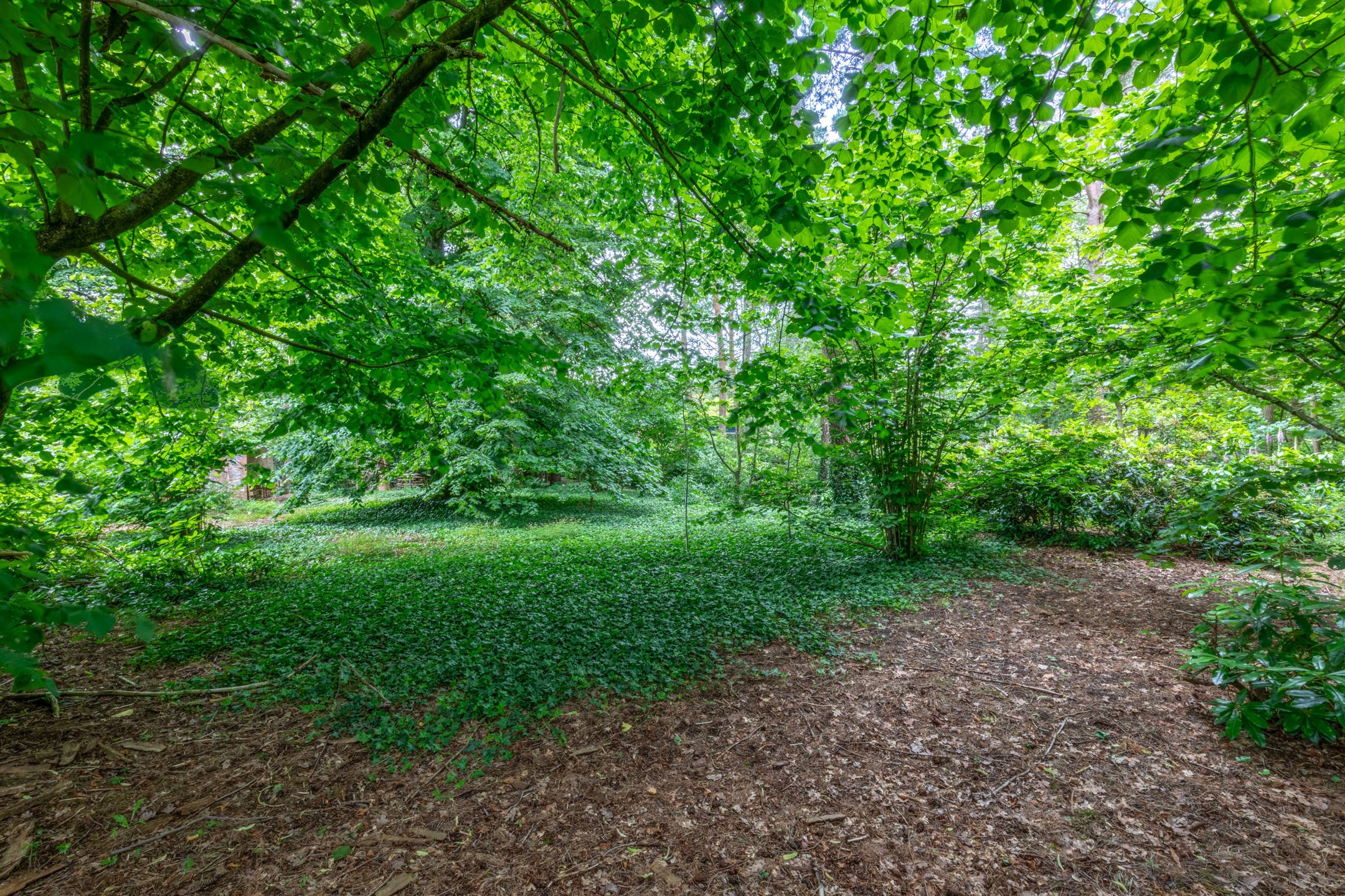 Prachtig stuk bouwgrond van 2.217 m2 - foto 5