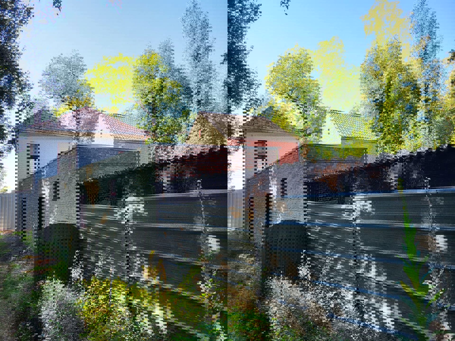 Te koop in Genk: (handels)huis - Hasseltweg 344 - foto 4