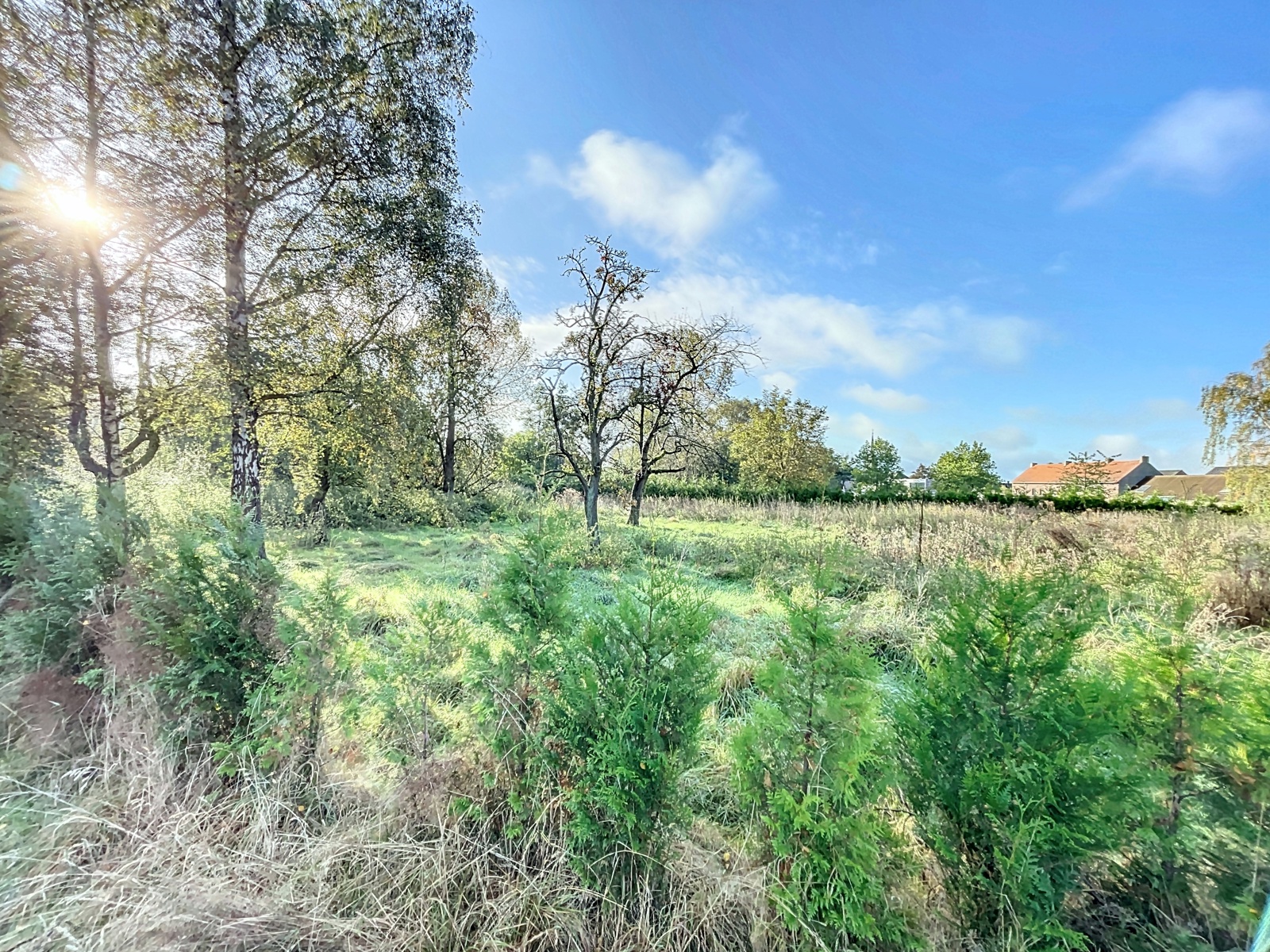 Zeer ruim huis met praktijk/pol. ruimte op terrein van 40a. - foto 1