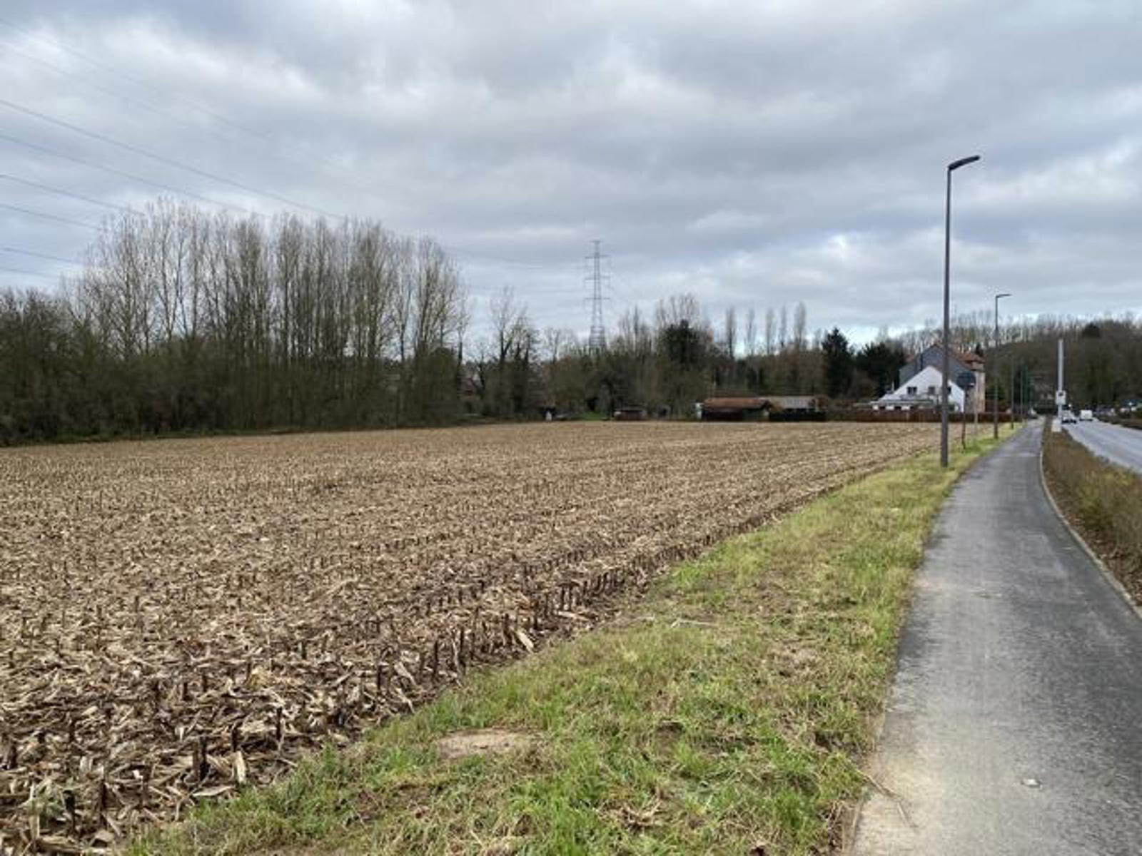 Open bebouwing in Dilbeek – Lot 6 - foto 5