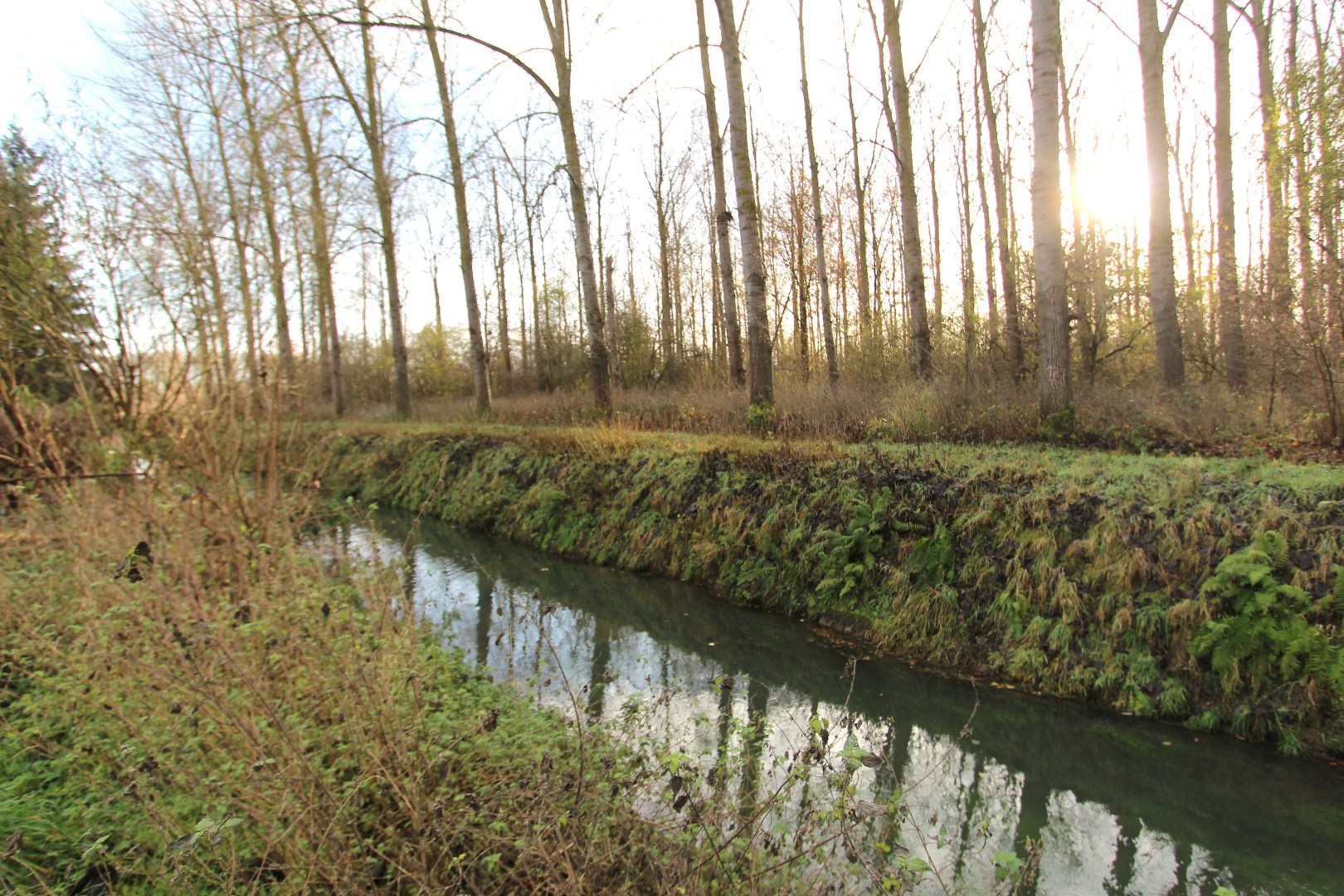 Maison dans un quartier résidentiel agréable au centre de Tongres - À rénover - photo 4