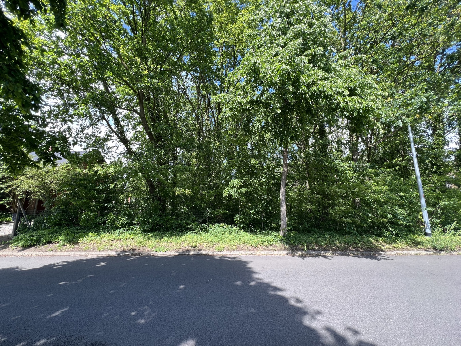 Land for sale in Nijlen - photo 3