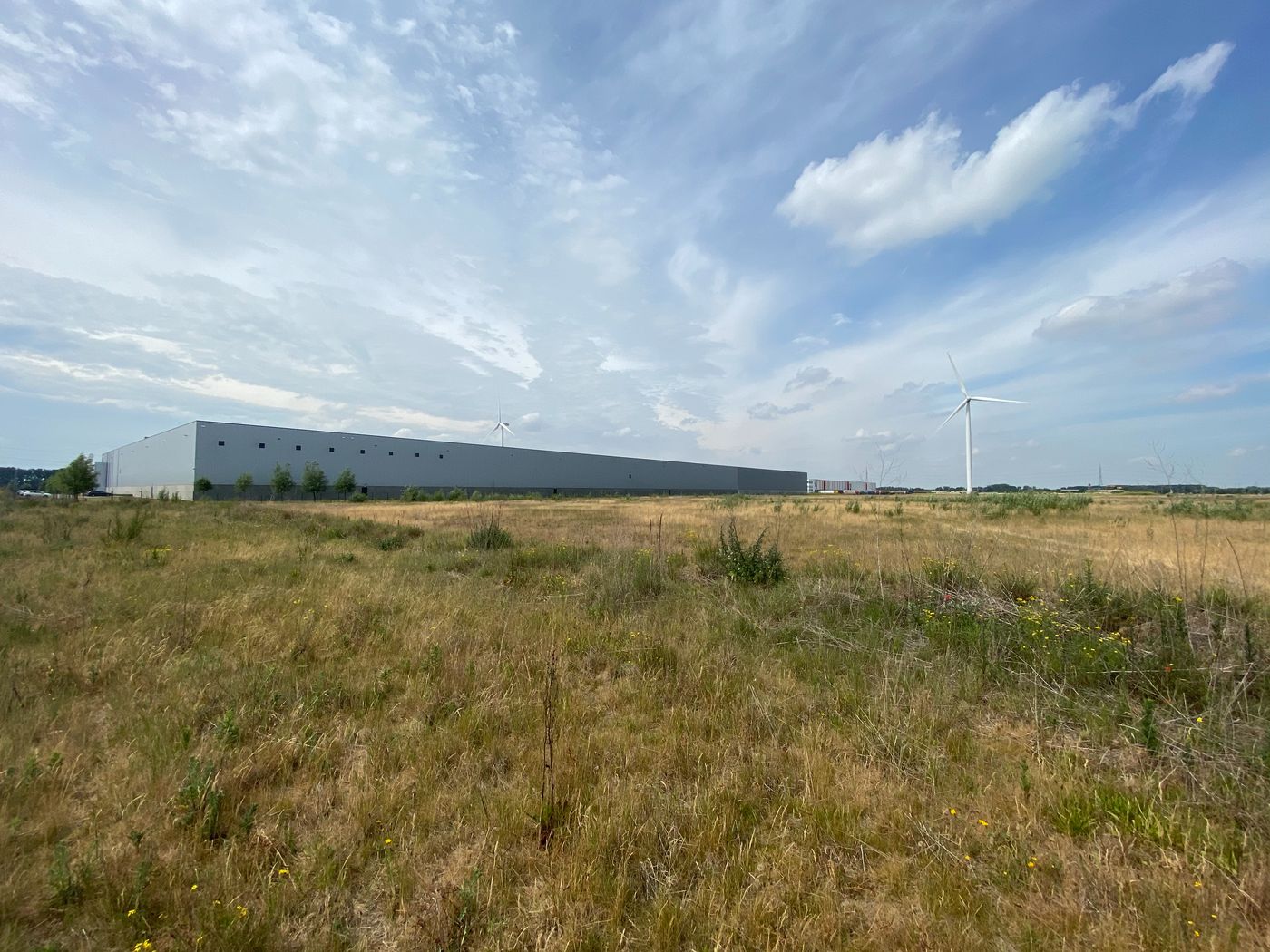 Nieuwbouw logistieke ruimte op maat te huur: 7.500 m² - photo 4
