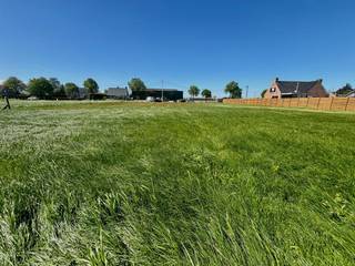 Aan de Tieltstraat 210 in Meulebeke bieden wij drie ruime bouwgronden te koop aan (774 – 778 m²), gelegen in een rustige omgeving met zuidoostgerichte tuinen.<br />Wie op zoek is naar een mooie kavel om op te bouwen, vindt hier een bijzonder aangename locatie dichtbij winkels, scholen en vlotte verbindingen naar Tielt, Kortrijk en Gent.<br />Alle nutsvoorzieningen zijn aanwezig.<br />Neem vandaag nog contact op voor meer info !