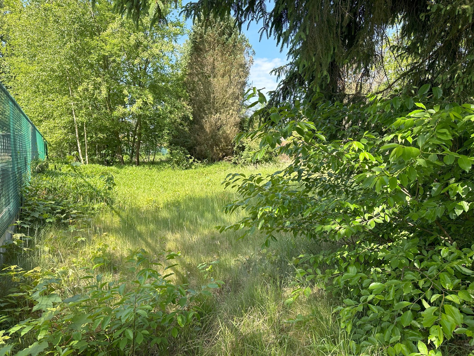 Wonen in het groen  - foto 3
