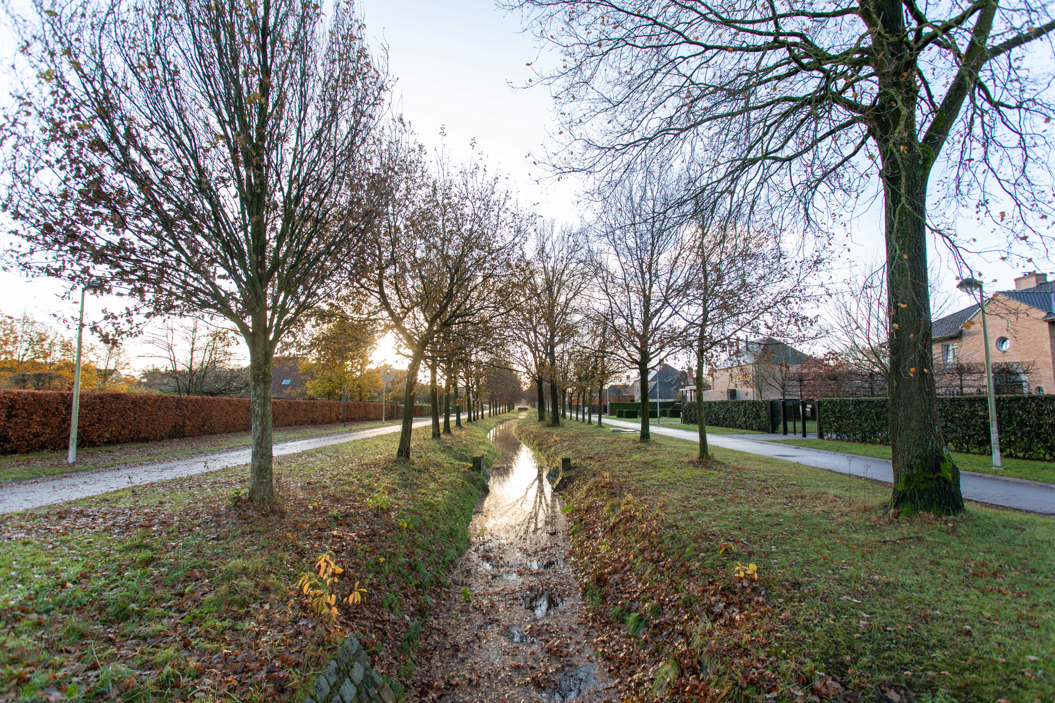 Terrain à vendre à Brecht - photo 4