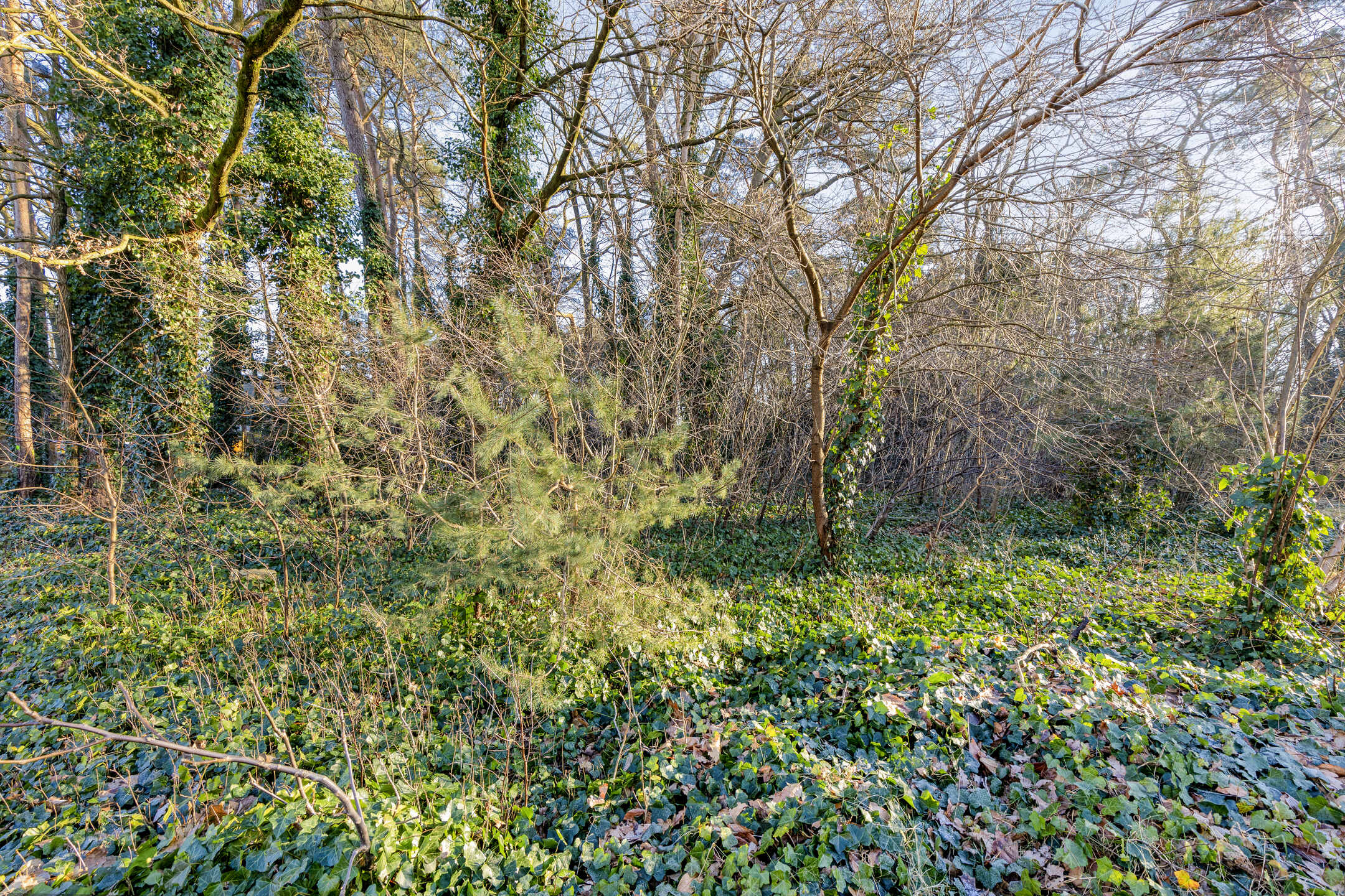 Zeer mooi, rustig gelegen villagrond in Nijlen - foto 4
