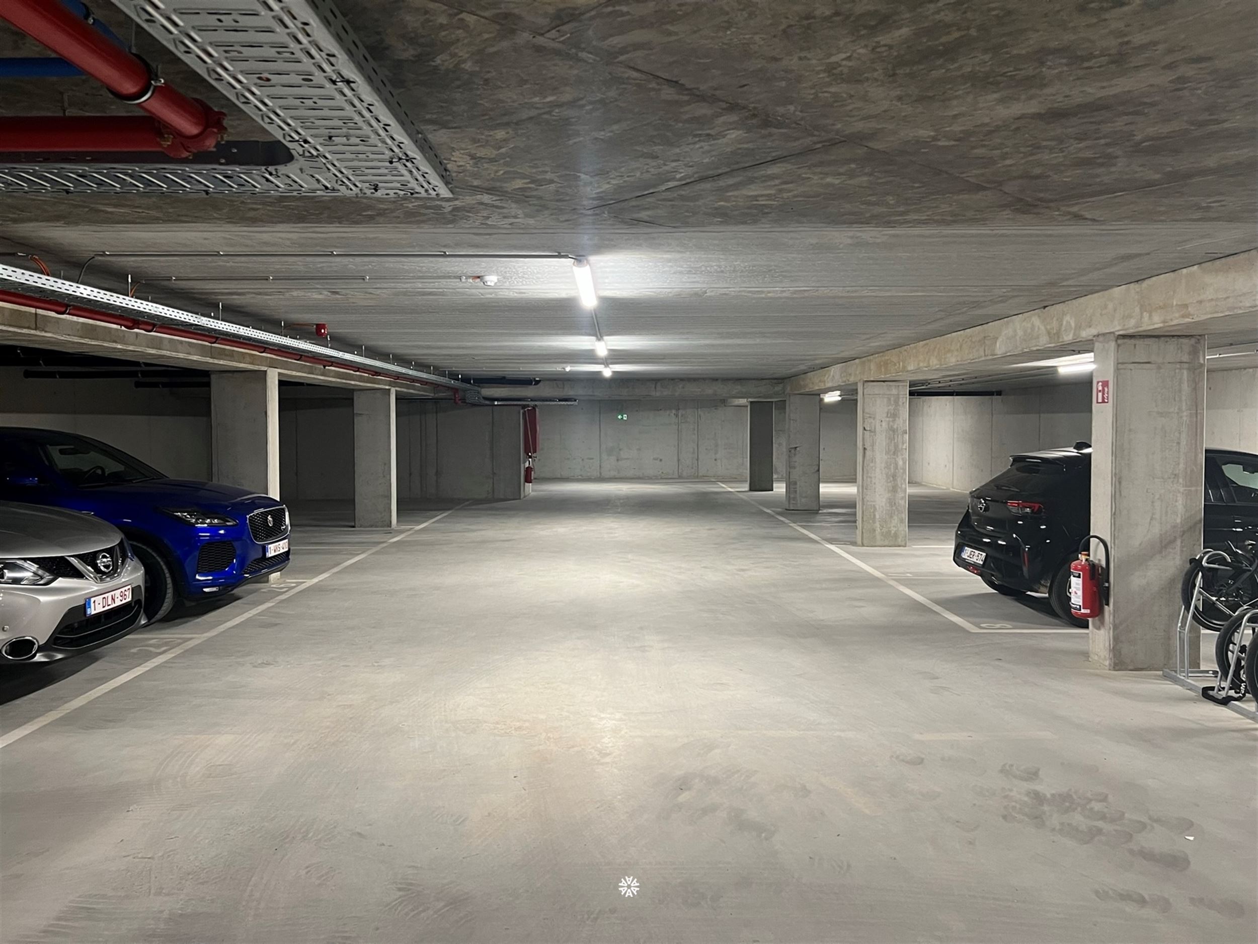 …