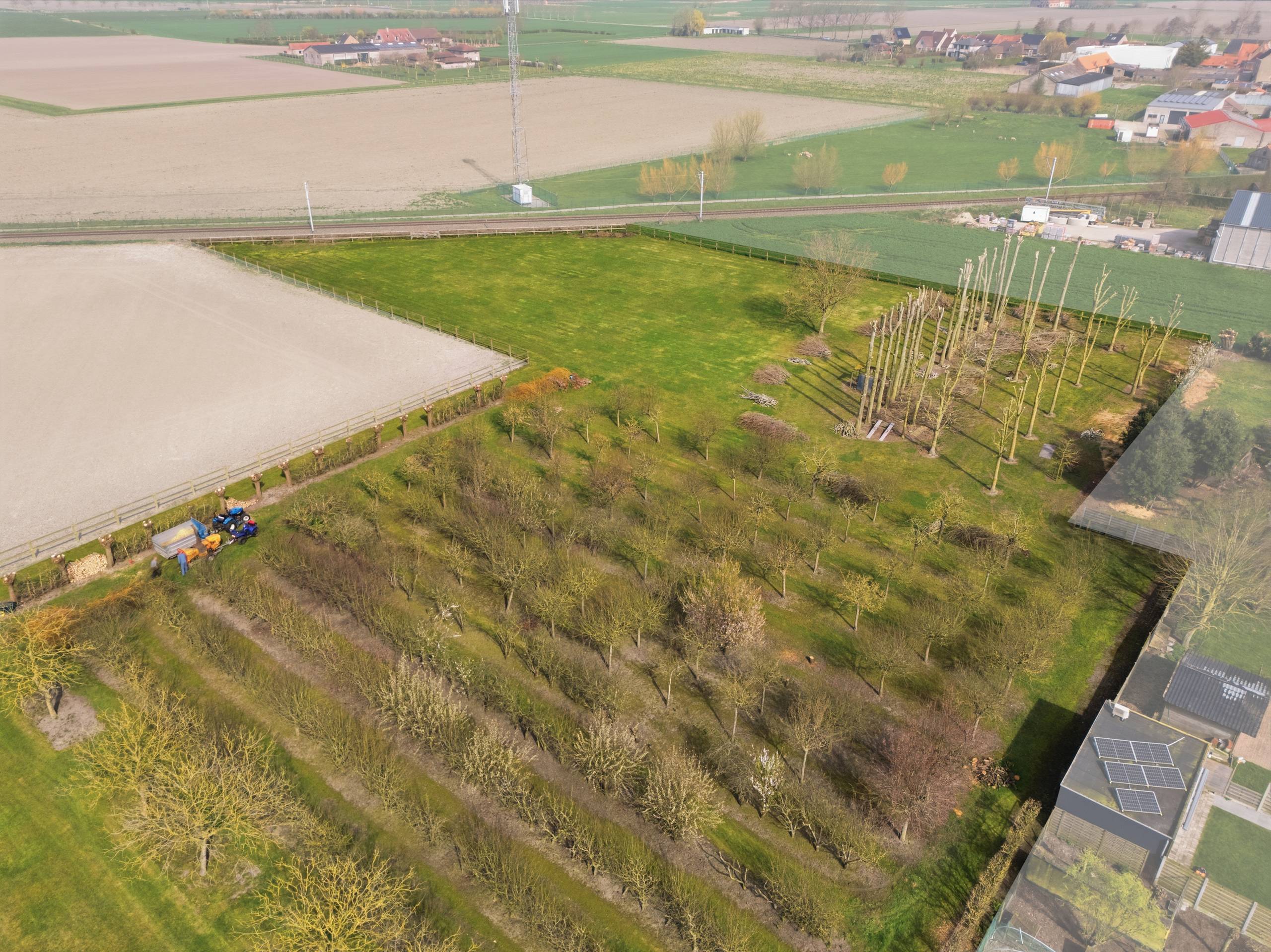 Te koop : Volledig omheinde boomgaard - foto 4