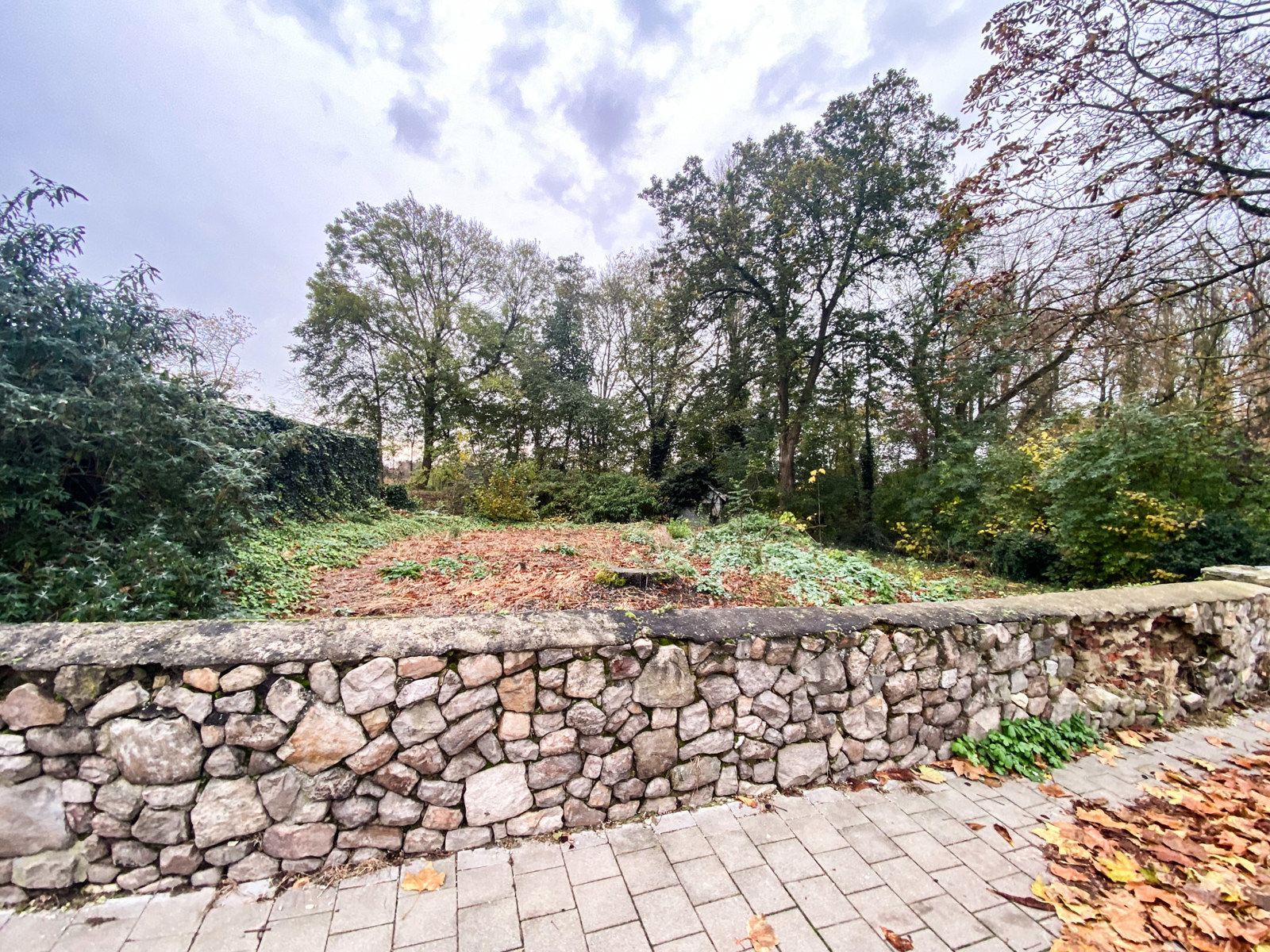 Grond te koop in Tienen - foto 4