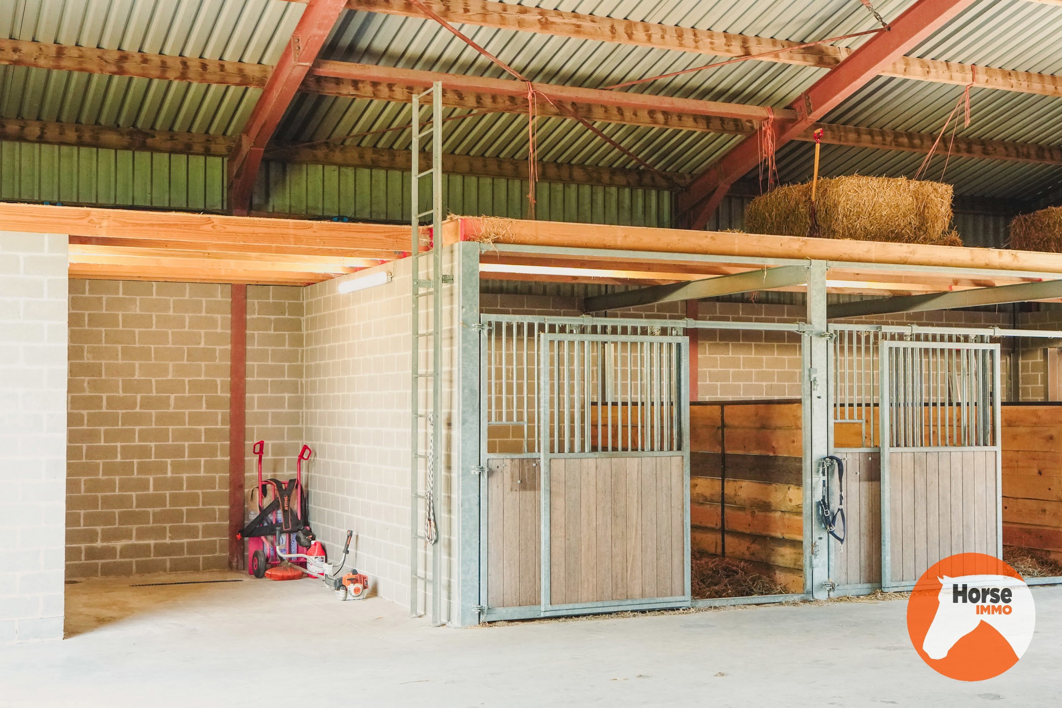 AXEL - Hoeve op een goede locatie met paardenfaciliteiten - foto 4