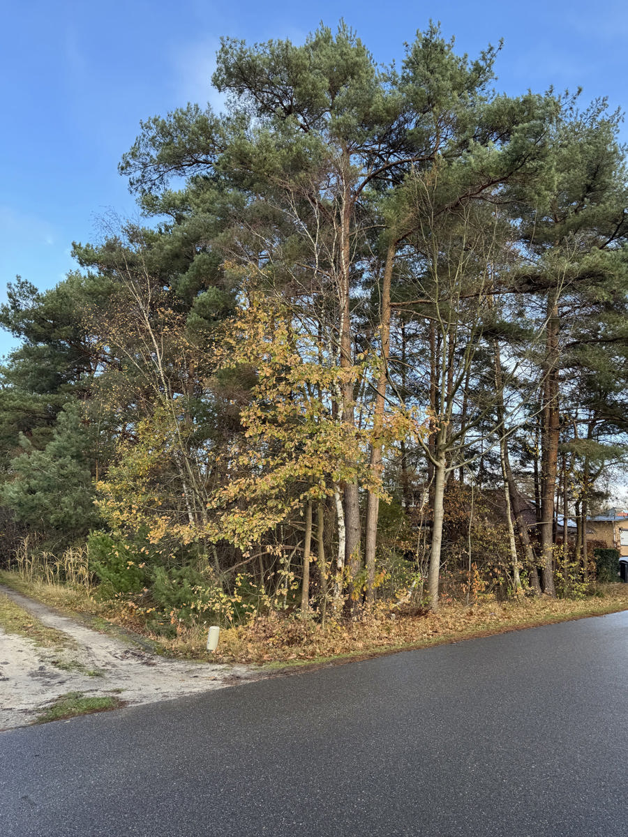 Ruime bouwgrond te koop in Balen-Wezel: ca. 3513 m² op rustige locatie - foto 5