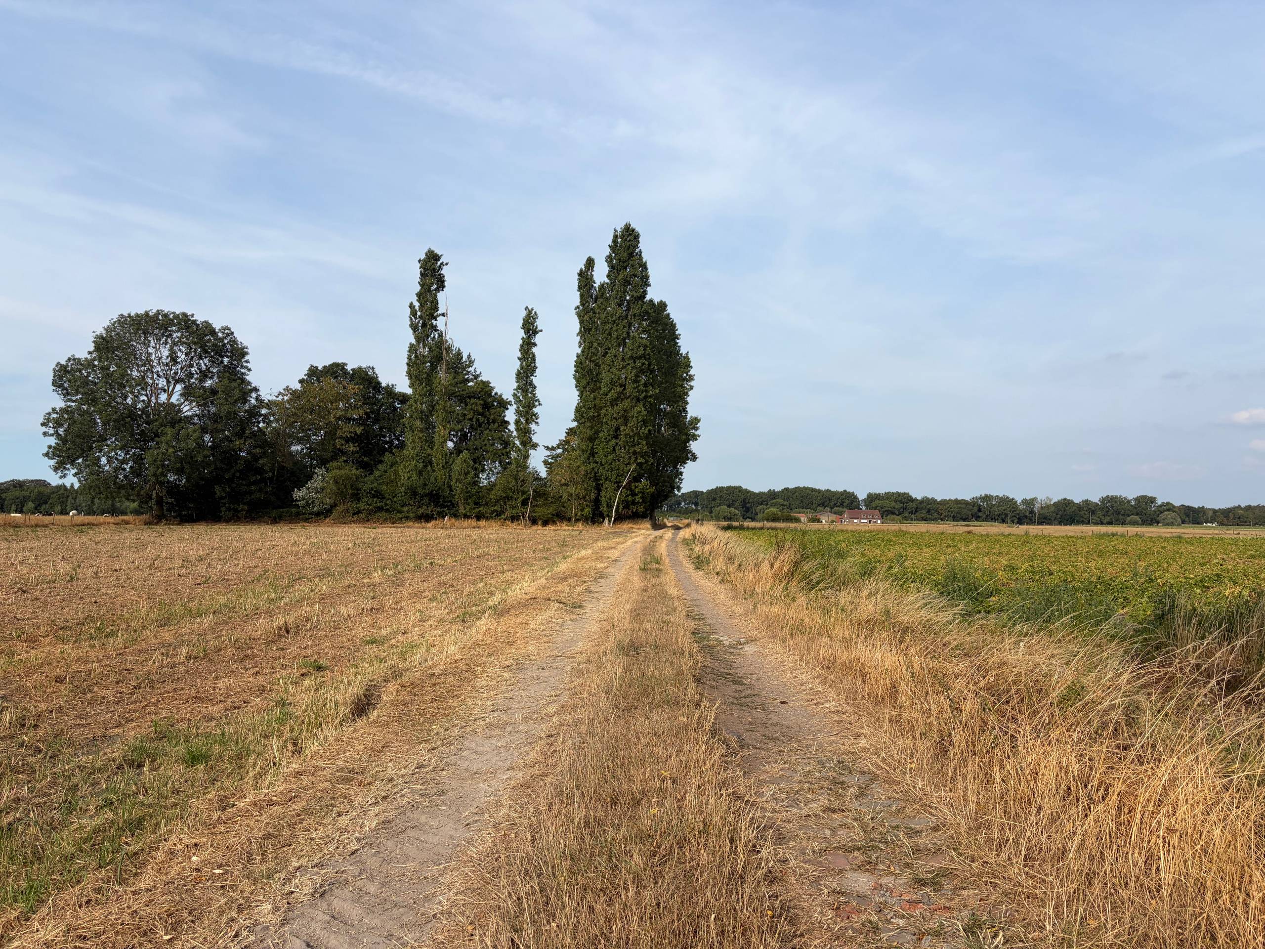 Land for sale in Oostkamp - photo 4