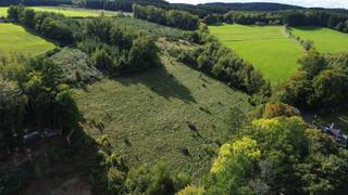 For sale – Beaumont (Stavelot), Les Sarts du Thier – LOT 4Looking for a quiet place to build your future home? Discover this beautiful 1,202 m²...