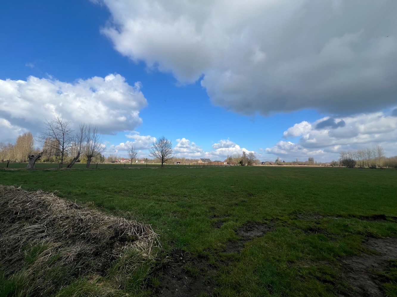 Landbouwgrond te Duffel - foto 4