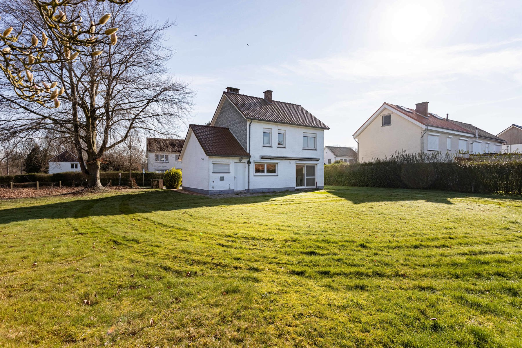 Maison à vendre à Dilbeek avec 3 chambres - photo 3
