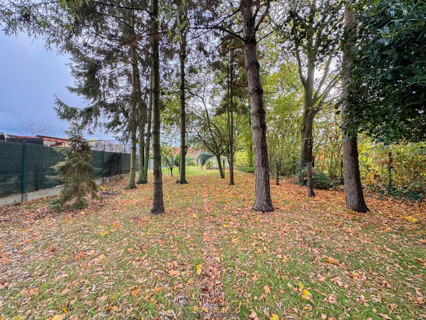 Te koop, Halfopen bebouwing op ruim perceel met uitweg achteraan te Kruisem! - foto 3