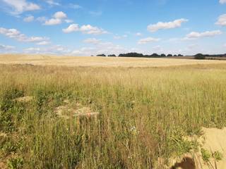 Celle jolie villa contemporaine avec garage<br />Idéalement située avec vue sur les champs à Ophain (Braine l’Alleud), cette habitation de construction traditionnelle de plus de 220 m² dispose au rez d’un grand garage ,une buanderie, un bureau et un spacieux living (50 m²) avec cuisine ouverte<br />À l’étage vous trouverez 4 chambres dont une suite parentale et deux salles de bains (avec wc séparé)<br />Au second niveau vous disposez d'un espace de stockage (grenier non aménageable) accessible via une trappe avec escaliers.<br />Finitions de qualité prévues dans un cahier des charges clair et précis.<br />Habitation « basse énergie » comprenant notamment ventilation double flux performante avec une récupération de chaleur supérieure à 80%, chauffage sol sur les deux niveaux.<br />Panneaux photovoltaïques, citerne d’eau de pluie de 10.000L.<br />Nous pouvons également vous proposer une pompe à chaleur en remplacement de la chaudière gaz pour atteindre un PEB A+ .<br /><br />Prix hors frais (prix fixe non révisible dès signature de la convention).<br /><br />Envie d’en savoir plus ?<br />📞 010 812 621 ou envoyez un mail à info@durabrik.be 