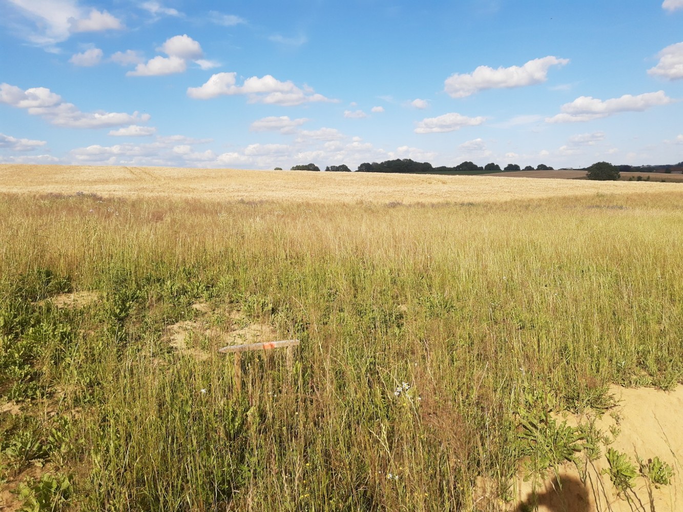 Huis te koop in Eigenbrakel met 4 slaapkamers - foto 3