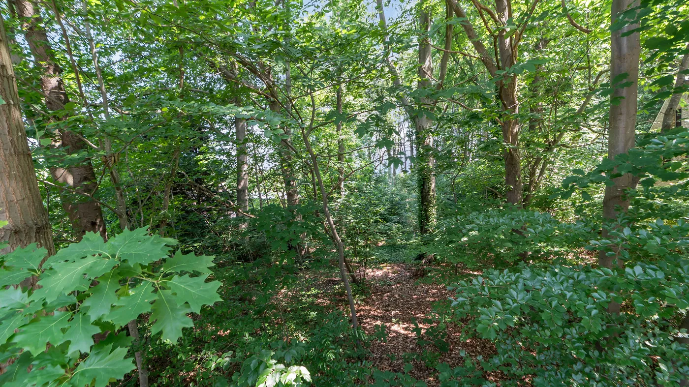 HOOG-LINDEN - bouwgrond 1786 m2 - foto 4