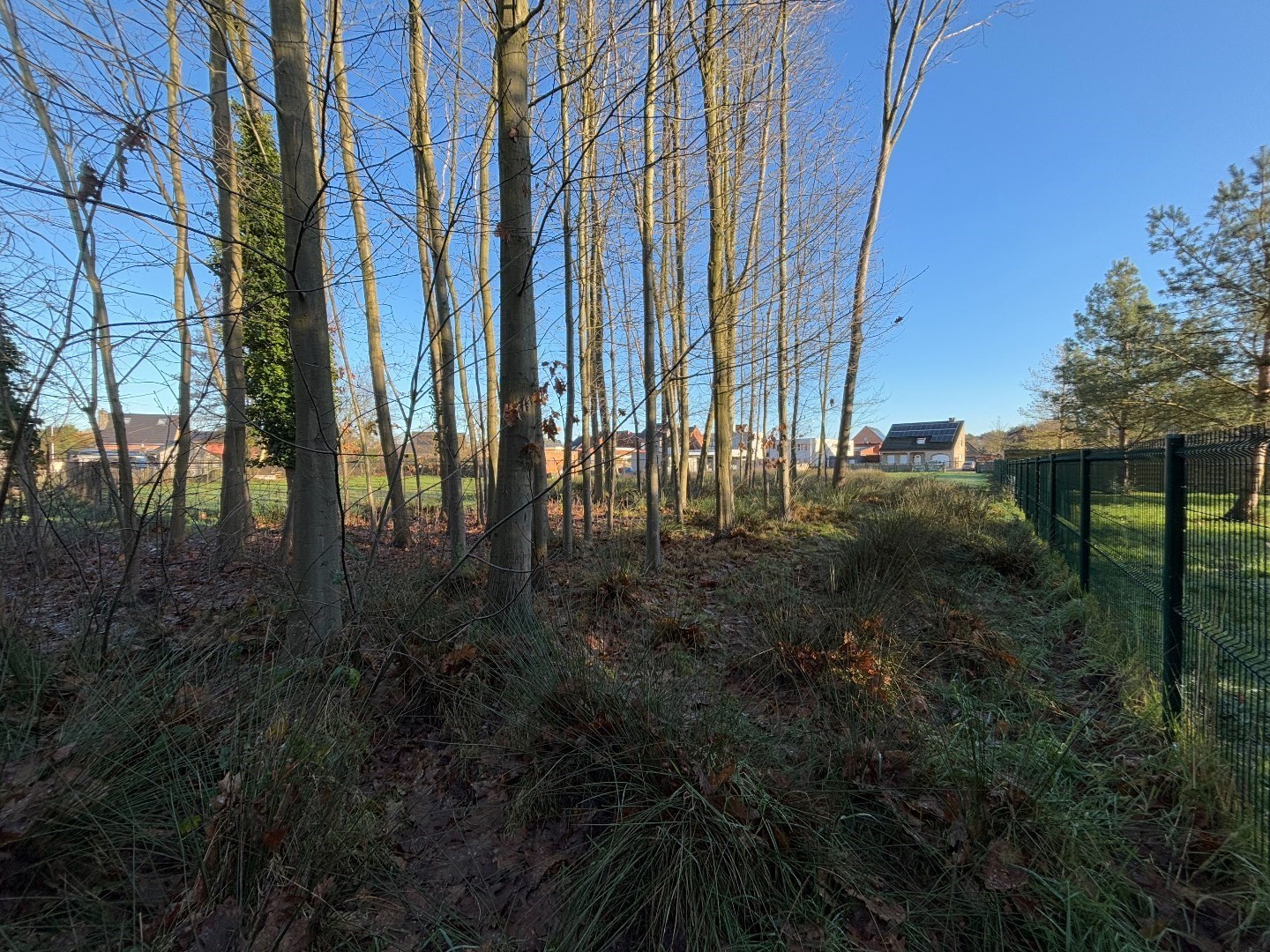 Land for sale in Tessenderlo-Ham - photo 5