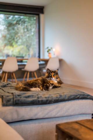 [[ DIT PAND NEEMT DEEL AAN DE ERA OPEN HUIZEN DAG OP 6/12 VAN 9:30 TOT 10:30 ]]Te koop: ruime open bebouwing in Ganzemeerstraat, Kruibeke, in een...