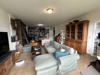 Dit appartement in Hasselt is te huur op een toplocatie aan de kleine ring van Hasselt, op korte afstand van het centrum van Hasselt. Dankzij...