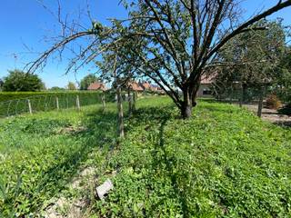 Terrain à vendre à Pepingen