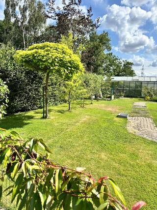Op zoek naar een fantastisch gelegen, halfopen gezinswoning in Schelle?
Breng dan een bezoek aan deze parel in de Tolhuisstraat. 604m² tuin, pal op het zuiden. Of je nu houdt van zonnebaden of tuinieren, hier kan het allemaal. Op zoek naar een nieuwe hobby? Achteraan in de tuin staat een gigantische serre waarin je groenten kan kweken voor het hele gezin.
Naast een zonnige leefruimte met peletkachel, ruime keuken en een inkomhal met gastentoilet, vind je op de eerste verdieping 3 slaapkamers, een badkamer en een washok. Onder de nok van het dak bevindt zich nog een enorme, af te werken zolderruimte, met plaats voor 2 extra slaapkamers.
Naast de woning kan je drie wagens kwijt op de oprit.
De woning kreeg onlangs nieuwe ramen en deuren en werd verder goed onderhouden. Mits wat extra liefde is dit een huis dat klaar is voor zijn tweede jeugd.
Deze woning wordt rechtstreeks verkocht door de eigenaars, immokantoren mogen zich onthouden.
Bezoekje? WELKOM (na afspraak) OP ONZE KIJKDAG OP ZATERDAG 26.09
