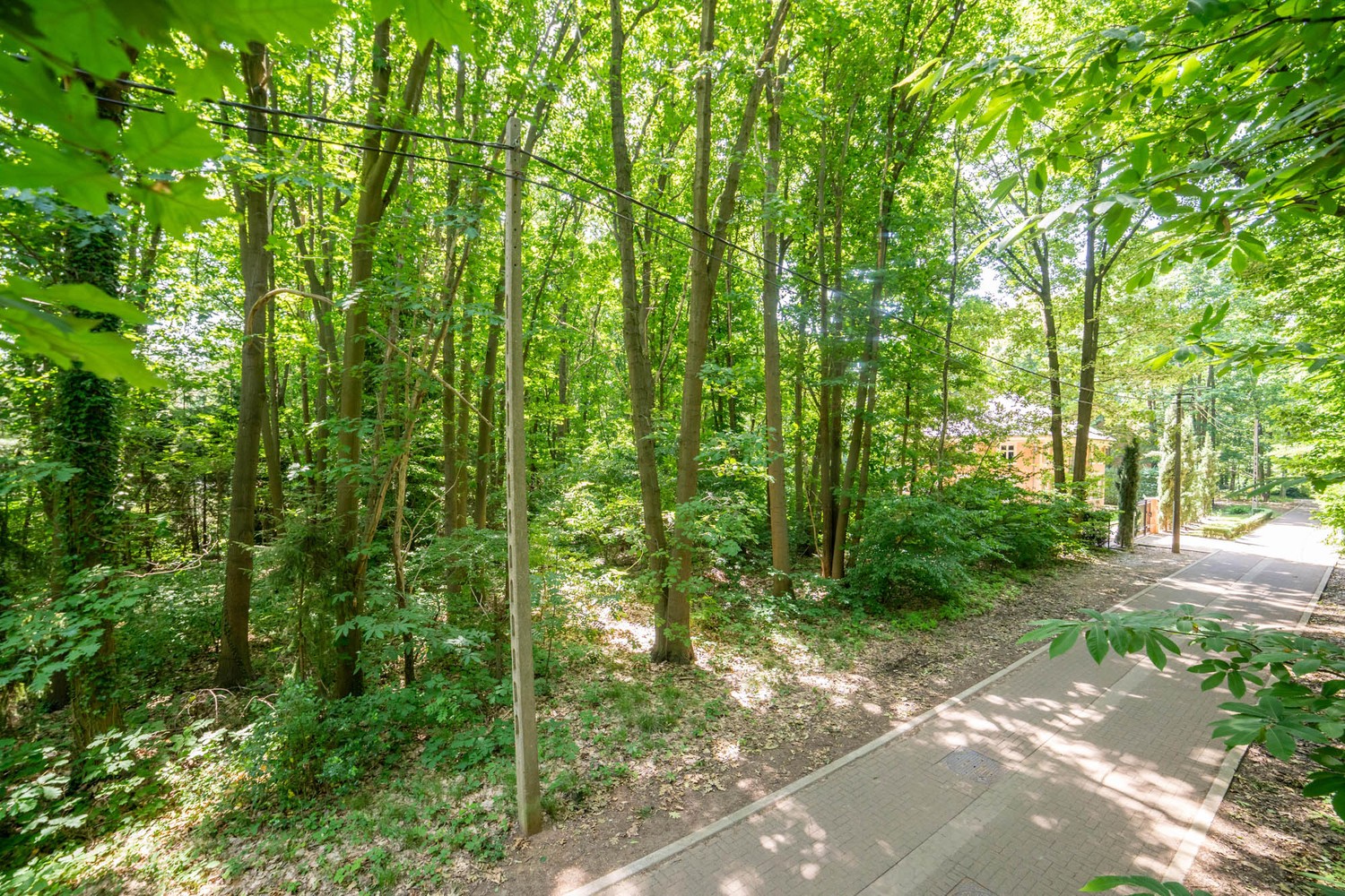 Rustig gelegen bouwgrond van 21a42ca voor een open bebouwing te Rotselaar (Heikantberg) - foto 1