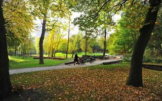 <br />🌿 <strong>Vernieuwd hoekappartement met zonnig terras in Gent – instapklaar</strong><br />Op een toplocatie aan het Spinmolenplein, vlakbij de Coupure en de Watersportbaan, ontdek je dit lichtrijk en volledig vernieuwd hoekappartement op de 3e verdieping van residentie LYS.<br />Hier woon je op wandelafstand van het bruisende centrum van Gent, met een vlotte verbinding naar R4, E17 en E40.<br /><br />✨ Dé blikvanger? Het ruime, L-vormige terras van maar liefst 35 m² met zuidoostelijke oriëntatie — perfect om in alle rust te genieten van <strong>zon en groen</strong> in een <strong>aangename parkomgeving</strong>.<br /><br /><strong>Indeling :</strong><br />Ruime inkomhal met ingemaakte vestiairekast, apart gastentoilet, lichtrijke leefruimte met stijlvolle glazen deuren en een volledig uitgeruste keuken met alle comfort. Het appartement beschikt over 1 zeer ruime slaapkamer en 2 kleinere slaapkamers, allemaal met toegang tot het terras. Moderne badkamer met grote inloopdouche, dubbele lavabo en toilet.<br /><br />🚗 <strong>Extra:</strong> lift, kelder inbegrepen, mogelijkheid tot huur garage.<br /><br />💶 <strong>Huurprijs:</strong><br />Appartement € 1.075/maand<br />Garage € 95/maand<br />Provisie € 165/maand (kosten + verwarming en water)<br /><br />🌟 <strong>Pluspunten:</strong><br />Instapklaar – energiezuinig (HR-glas + elektrische rolluiken) – rustige groene ligging – nabij centrum, winkels en sport<br /><br />📅 <strong>Praktisch:</strong><br />Beschikbaar vanaf <strong>1 juli 2026</strong> – domicilie verplicht – geen co-housing – voorkeur voor rustige huurder<br /><br /><strong>Bezoek: </strong>tine@tvevastgoed.be - 📞 0474 97 00 22<br /> 