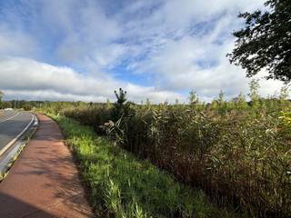 Terrain à vendre à Balen