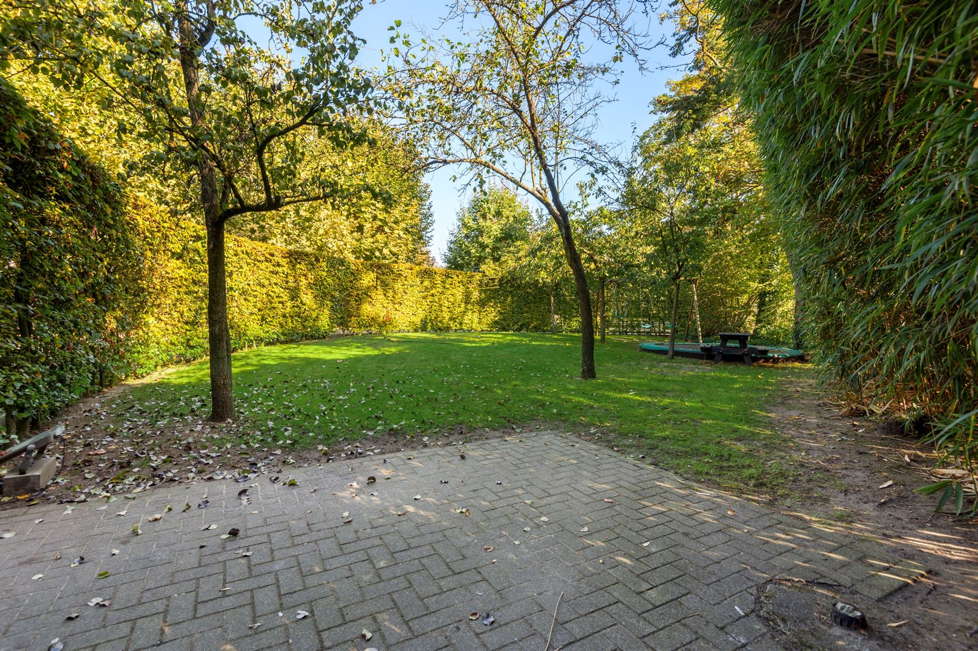 Huis - foto 4
