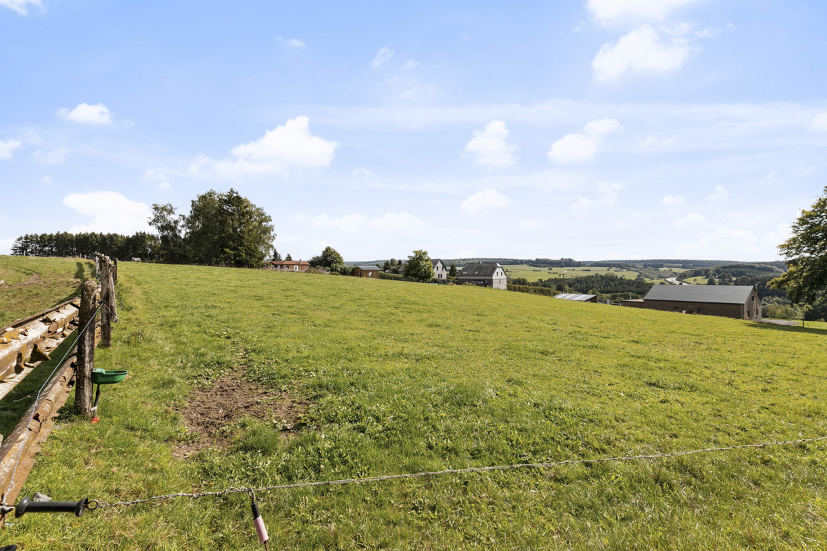 Land for sale in Tenneville - photo 4