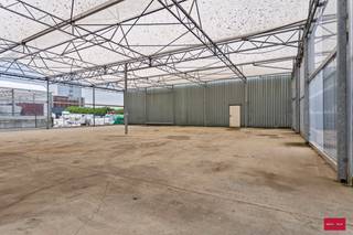 Serre te huur in Hoogstraten (200m²) Bent u op zoek naar een opslagplaats in Hoogstraten dat zowel ruim als goed gelegen is? Zoek niet verder!...