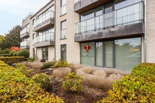 Commercial à vendre à Denderleeuw