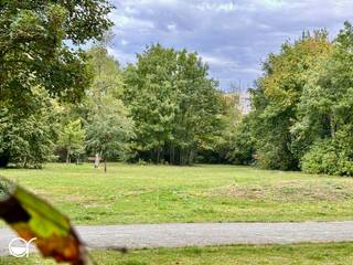 Apartment for sale in Ghent