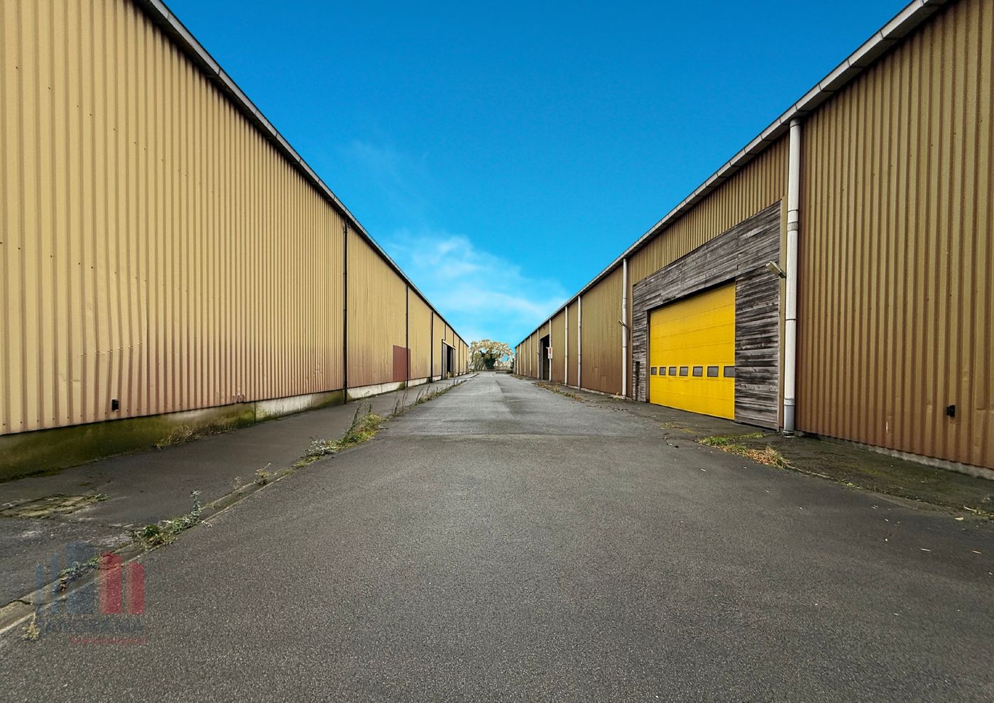 Strategisch gelegen loodsen 15.751 m² aan Langerbruggekaai Gent - photo 4