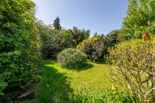 <p><span><strong>HALFOPEN WONING MET 5 SLAAPKAMERS, GARAGE EN TUIN OP TOPLIGGING IN TIELT</strong></span><br /><span>Deze halfopen woning werd met oog voor detail en mogelijkheden gebouwd in 1964. De woning beschikt over 5 slaapkamers waarvan 1 op het gelijkvloers, een prachtige tuin met terras en een afzonderlijke garage. De woning is gelegen langs de Holdestraat, vlakbij bakker, slager, winkels, scholen en openbaar vervoer, doch rustige ligging. </span></p><p><br /><span><strong>INDELING: </strong></span><br /><span>We komen binnen in de inkomhal met gastentoilet en toegang tot bergruimte, de eerste slaapkamer en leefruimte. De leefruimte biedt voldoende plaats voor een ruime zithoek en eetplaats. Naast de eetplaats is er een kastenwand die gemakkelijk eruit kan genomen worden om een open keuken te maken. Achterliggend bevindt zich de badkamer. Op het eerste verdiep is er een overloop met toegang tot maar liefst 4 volwaardige slaapkamers en een gastentoilet. Naast de huidige trap kan men ook gemakkelijk een trap naar de zolder voorzien waar momenteel 2 bergruimten zijn voorzien. De zolder geniet volle hoogte en kan zo later nog naar eigen believen worden ingericht. </span><br /><span>De woning geniet een prachtige zuidwest georiënteerde tuin en terras waar men volledig tot rust kan komen. Tot slot is er een oprijlaan met aparte garage voorzien. </span></p><p><br /><span><strong>TROEVEN: </strong></span><br /><span>-    TOPLIGGING</span><br /><span>-    5 SLAAPKAMERS</span><br /><span>-    MOGELIJKHEID TOT OPEN KEUKEN</span><br /><span>-    ZONGERICHTE TUIN</span><br /><span>-    GARAGE</span></p>