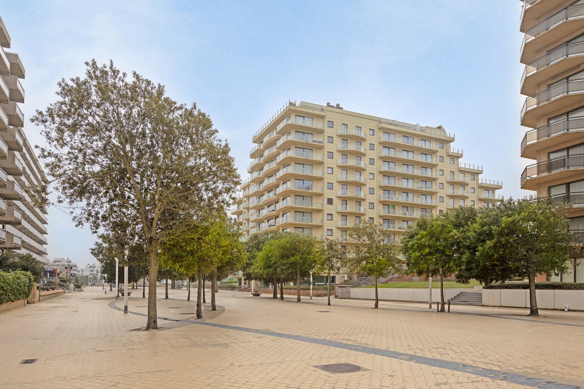 Two penthouses with spacious terraces and garage in De Panne - photo 3