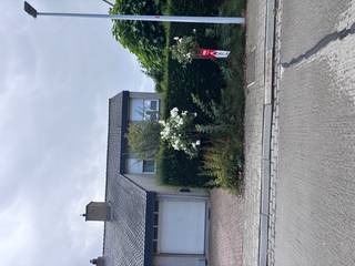 ong&amp;gt;Instapklare woning met 4 slaapkamers<br /><br />Indeling<br />gelijkvloers: inkomhal, apart toilet, berging, wasplaats, living met open keuken, veranda<br />eerste verdiep: 4 slaapkamers, badkamer<br /><br /><strong>Troeven:</strong>
<ul><li>ruime zolder</li><li>rustige ligging</li><li>regenwaterput 1500l</li><li>zonnepanelen + batterij</li><li>open haard met cassete op gas</li><li>volledig aangelegde tuin</li><li>centrale verwarming op gas</li></ul>