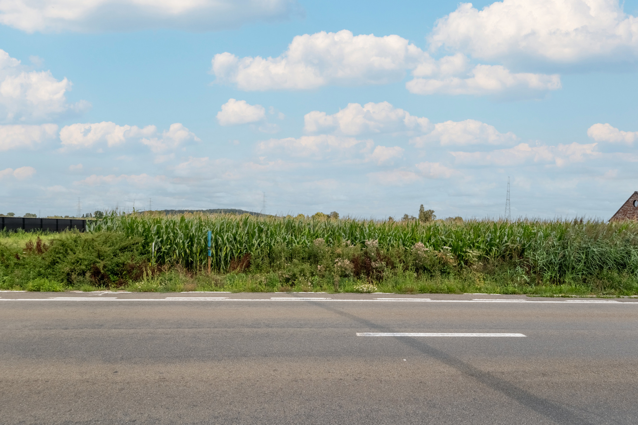 Land for sale in Celles - photo 4