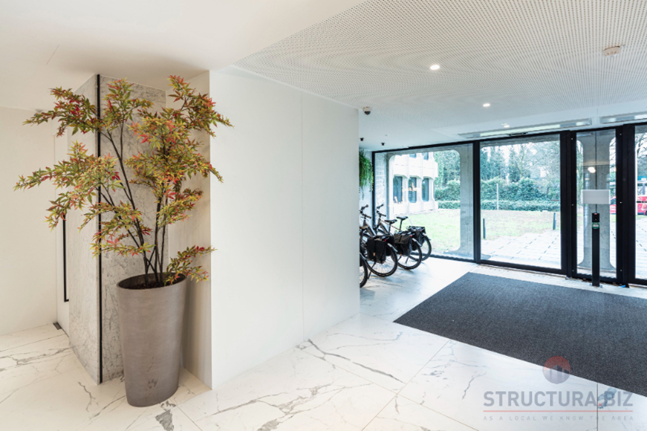 Commercial for rent in Watermael-Boitsfort - photo 5