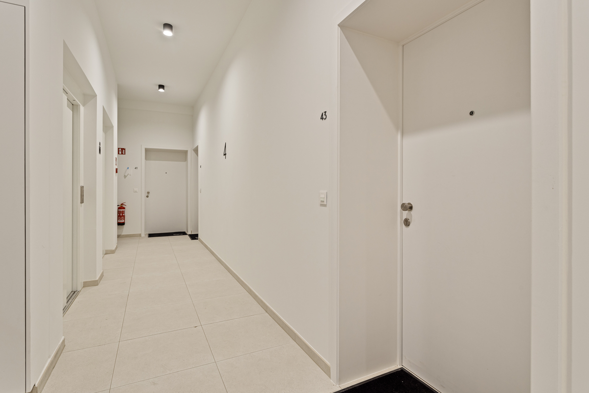 Appartement met één slaapkamer en terras te huur in Waregem - foto 5