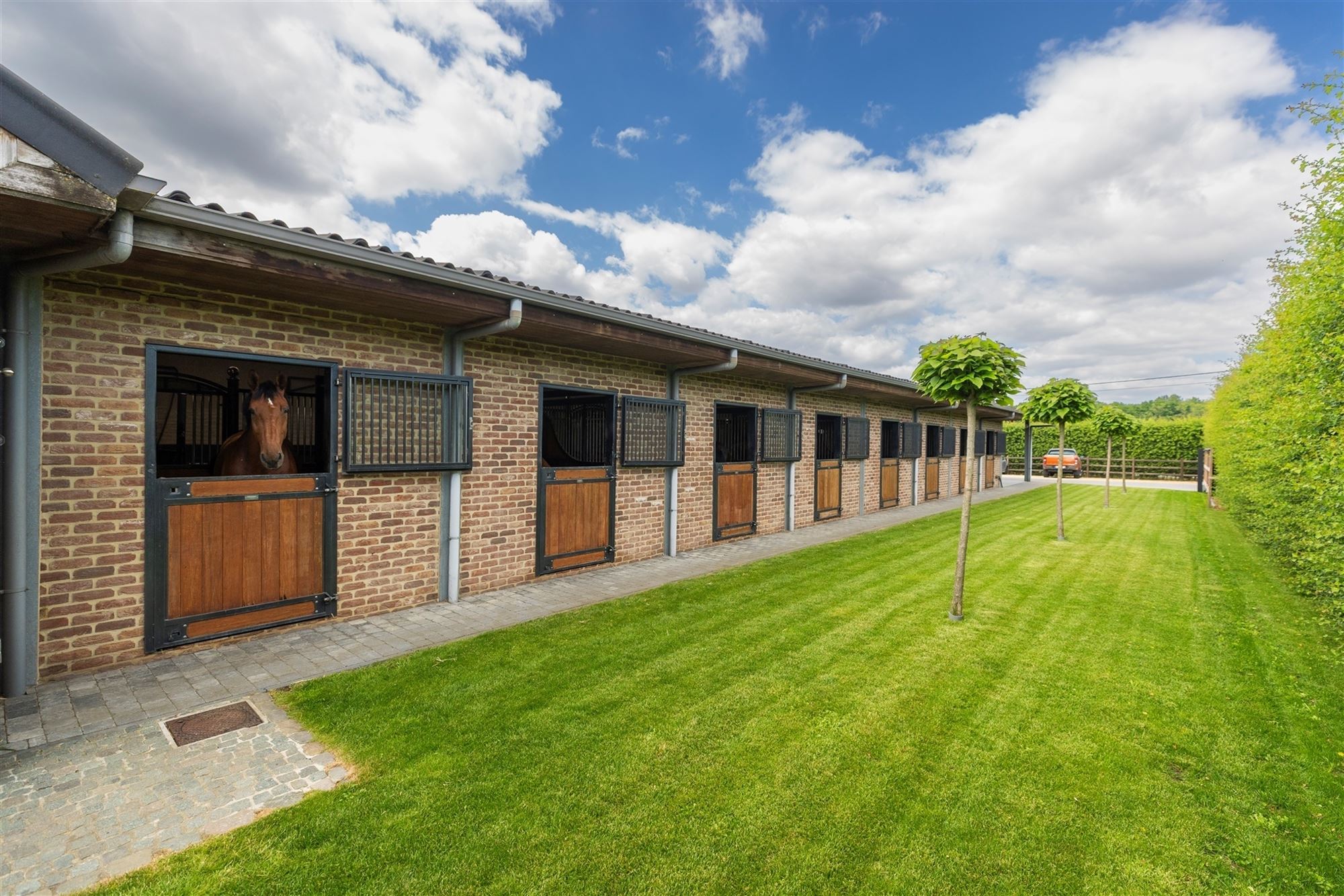 Exclusieve hippische accommodatie - foto 5